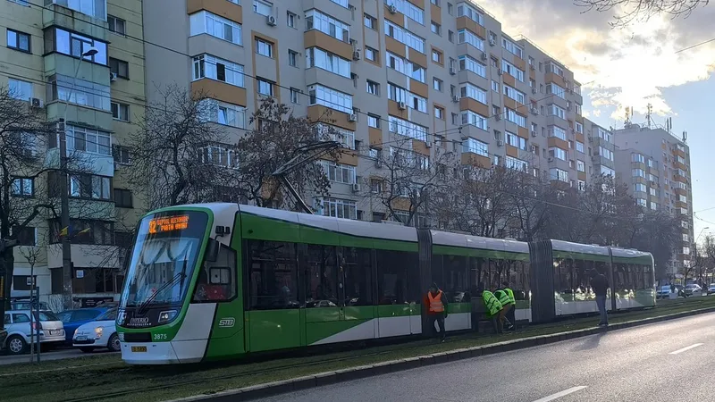 Cum strică tramvaiele și crește riscul de accident iarba pusă între șine de primării în Capitală - Foto: Facebook/Asociația Metrou Ușor