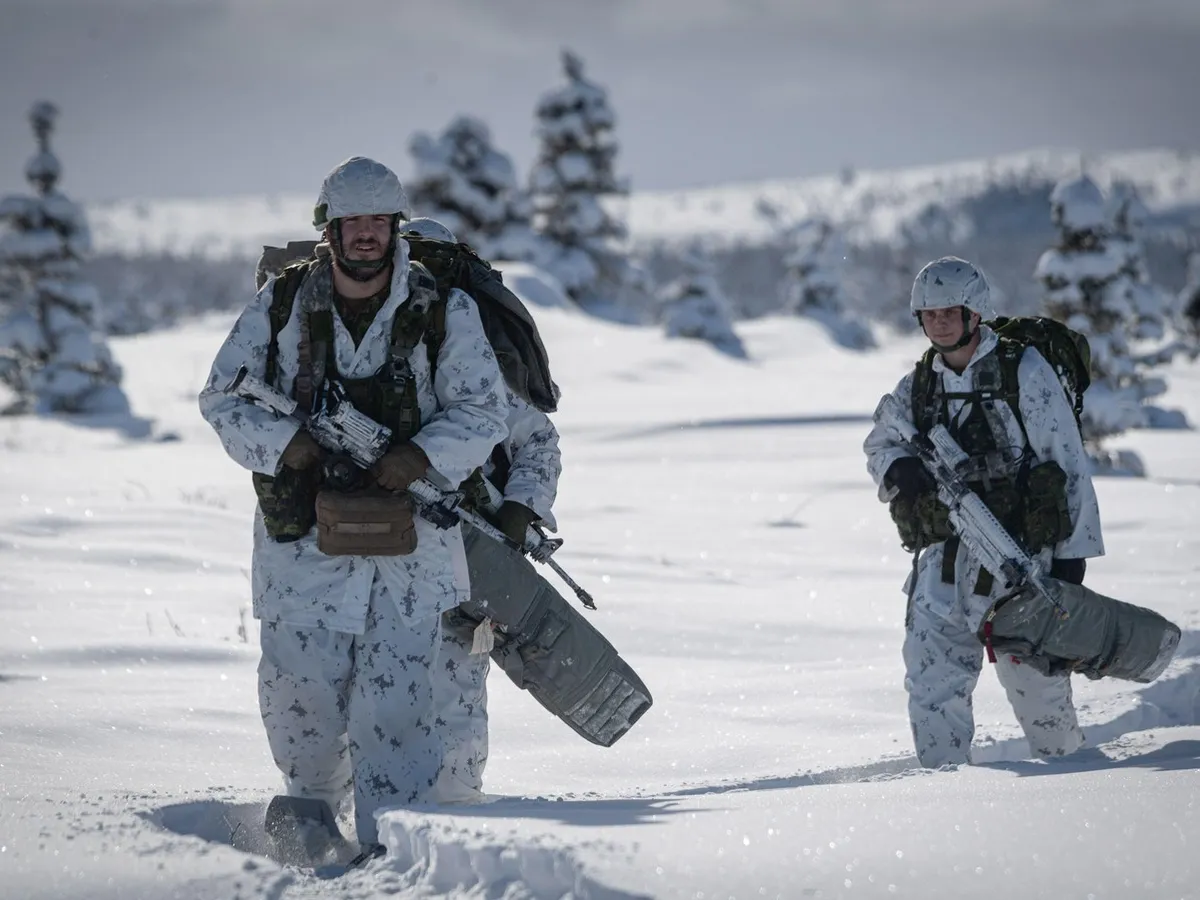 Trupe de comando ale Canadei - Foto: Profimedia Images (imagine cu rol ilustrativ)