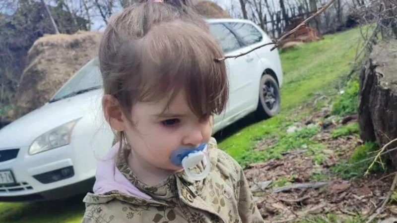 Danka Ilic, fetița de 2 ani dată dispărută pe 27 martie 2024 din localitatea sârbă Banjsko Polje Foto: interpol.int