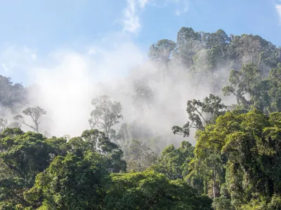 Oaza „tropicală” din România unde dacii cereau ajutorul zeilor. Aici răsuflă aburi și de 56 de grade - Foto: Profimedia Images/ Imagine cu caracter ilustrativ