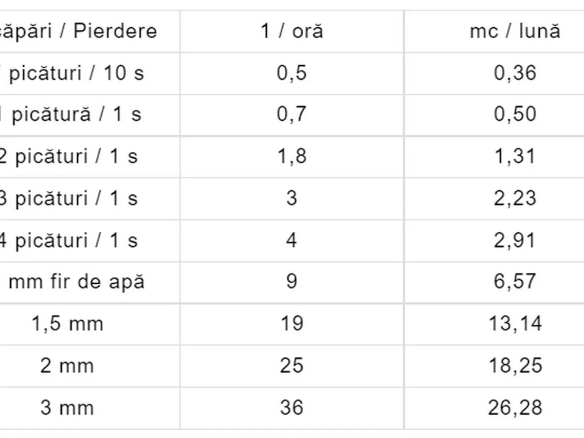 Estimare pierderi/scăpări instalații apă. / Foto: aquabis.ro