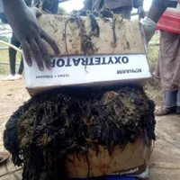 Plasticul care a fost scos din intestinele unei singure vaci Foto: ghanaplus.com