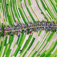 Suloszowa, satul din Polonia în care 6.000 de locuitori trăiesc pe aceeași stradă - Foto: thefirstnews.com