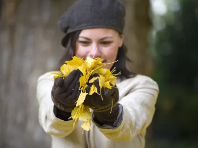 Obiceiul de toamnă care te poate lăsa fără 6.000 lei în buzunar. Ce amendă primești în curte la tine - Foto: Freepik
