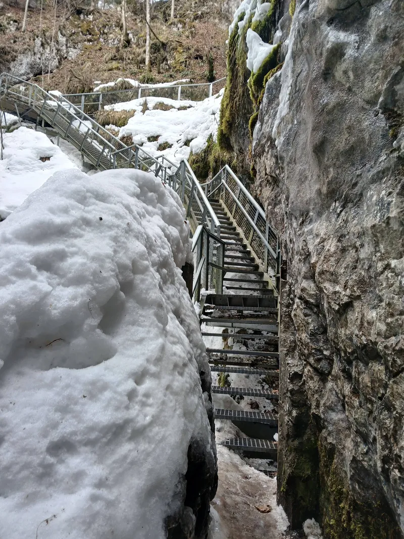 Peștera Scărișoara - Foto: FB / Mădălina Stănescu