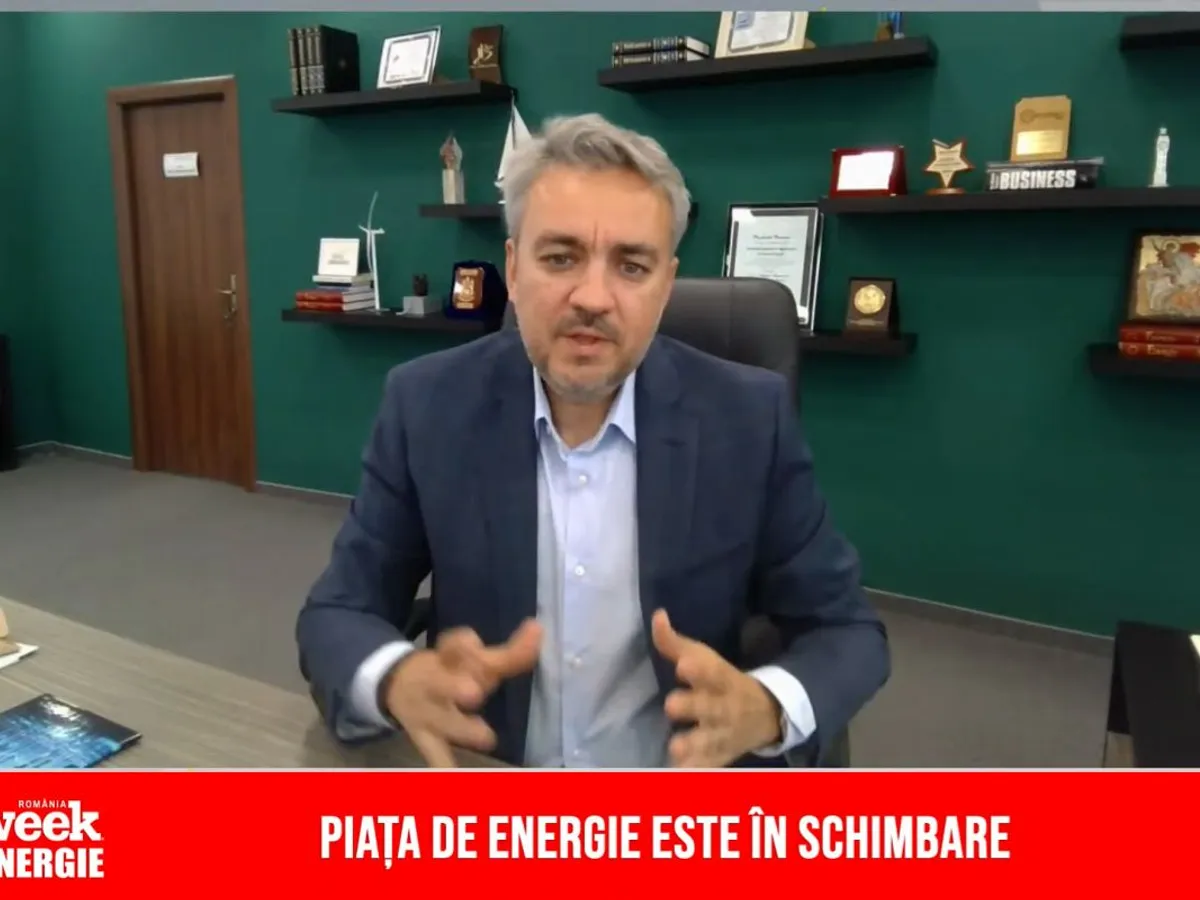 VIDEO George Niculescu, preşedinte ANRE: O problemă în România e lipsa investițiilor în rețele de distribuție