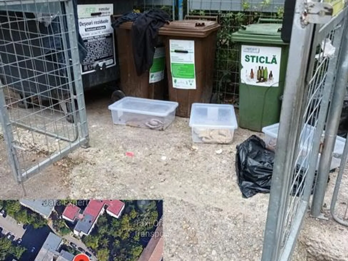 Un orădean a dat peste trei șerpi piton imenși la tomberonul blocului Foto: Bihoreanul