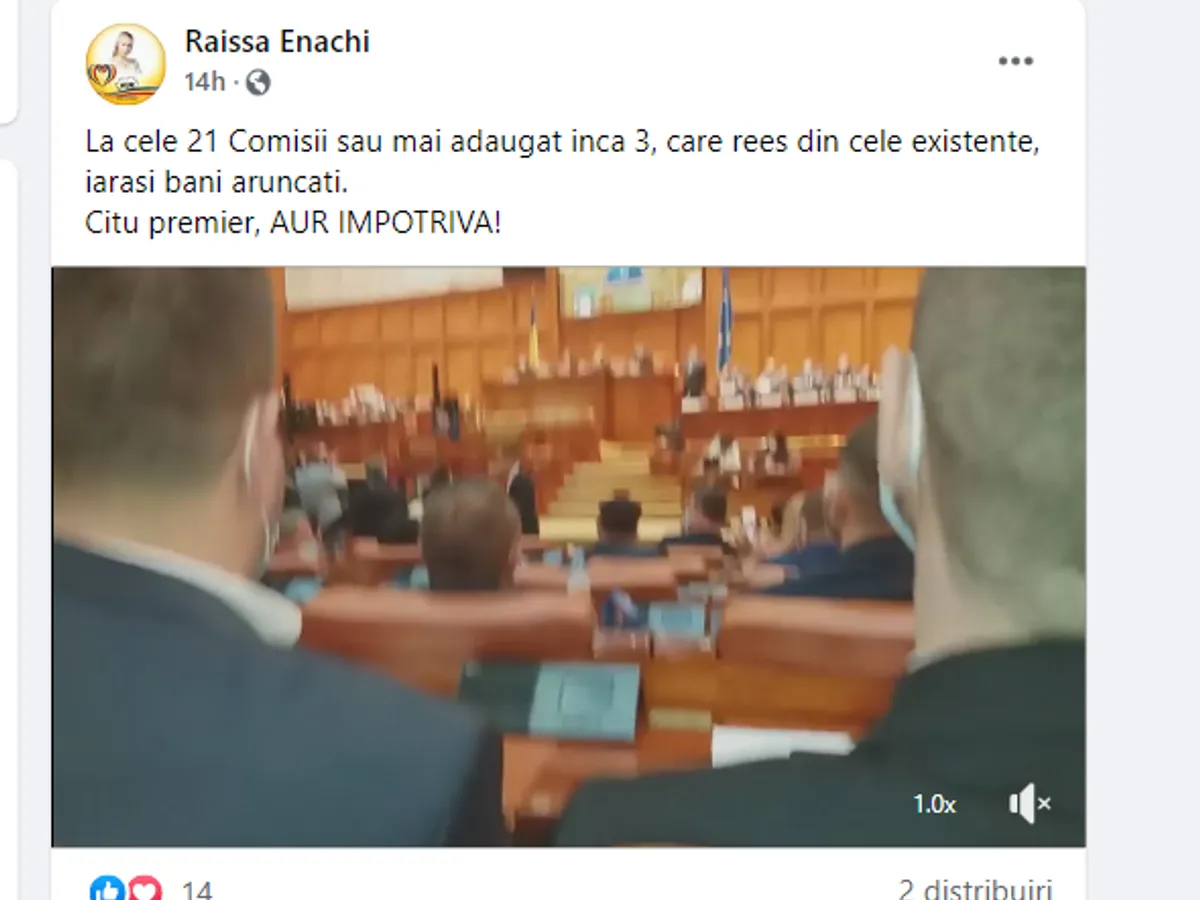 Raisa Enachi, pe contul șters, cu greșeli gramaticale. Captură foto: Vasluiazi.ro