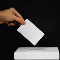 Frauda ar fi avut loc la alegerile din septembrie 2020. Foto: Pexels.com