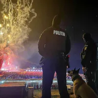 Poliția la Neversea - Foto: MAI