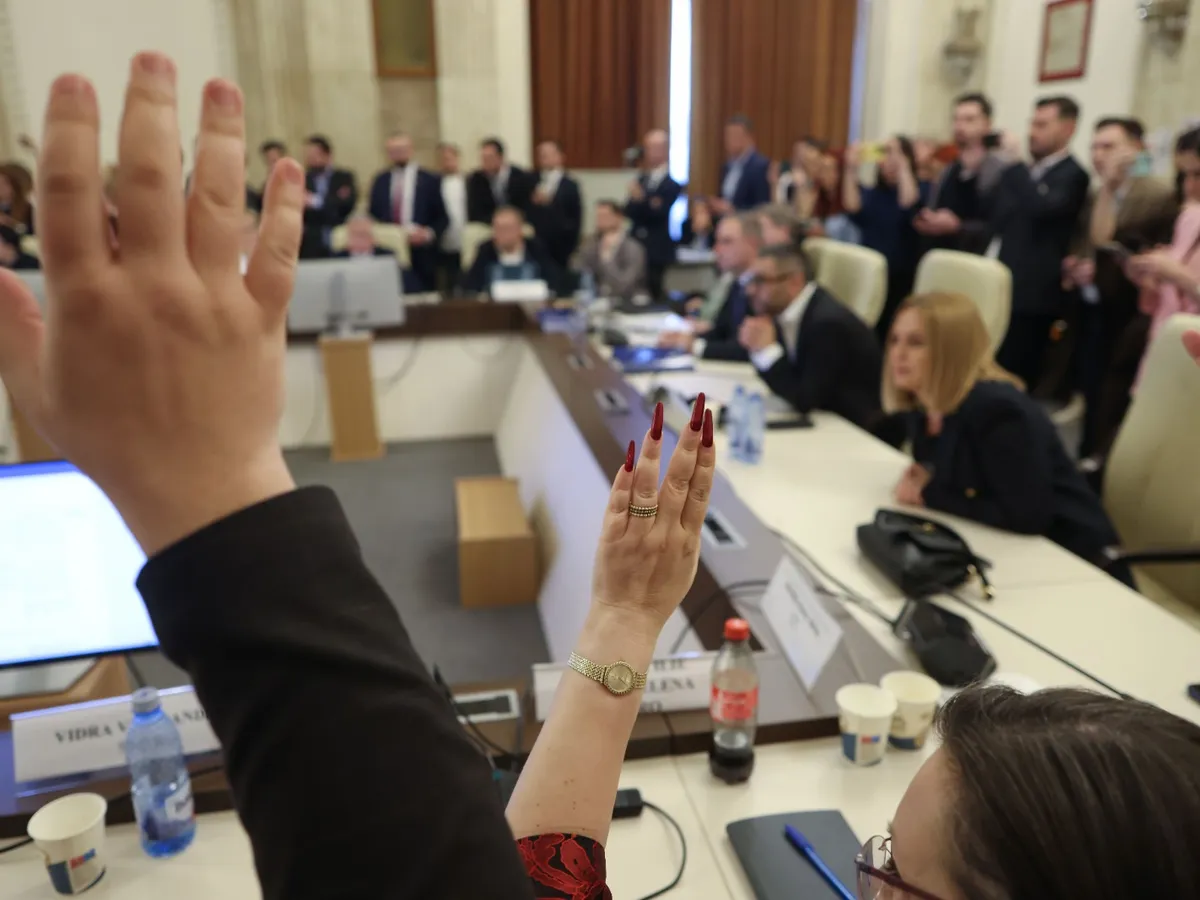 Vot în comisii pe buget - Foto: Inquam Photos/ George Călin