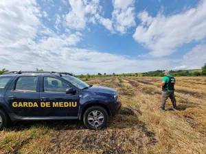 Amenzi usturătoare date de Garda de Mediu după ce au fost depășite concentrațiile de hidrogen  - Foto: Arhiva