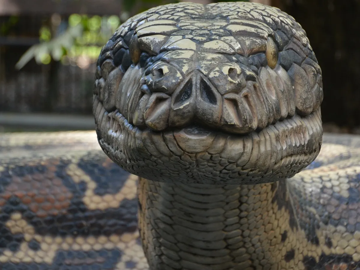 Descoperire spectaculoasă în Amazon: o nouă specie de anaconda verde, cel mai greu șarpe de pe Pământ