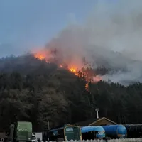 Flăcările au izbucnit duminică în pădurea de lângă Oituz. FOTO: Facebook