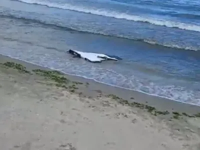 Un fragment de dronă a fost găsit pe o plajă din Constanţa. Nu are explozibil - Foto: News.ro