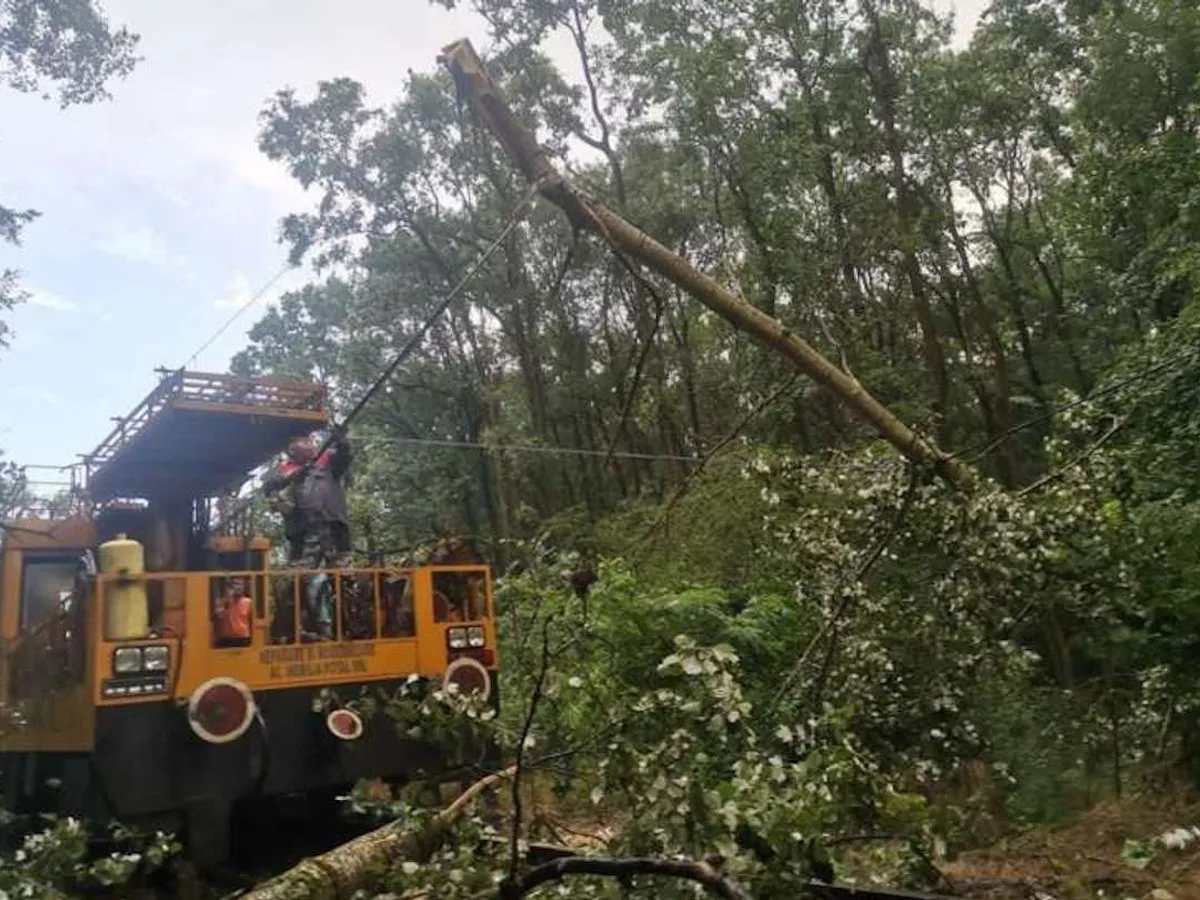 Din cauza căderii unor copaci pe linia de contact au apărut întârzieri ale trenurilor cuprinse între 30 şi 440 minute - Foto: CFR SA