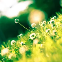 VREMEA În ce orașe mercurul va atinge 20 de grade Celsius? Primăvara  bate la ușă Foto: Pexels (fotografie cu caracter ilustrativ)