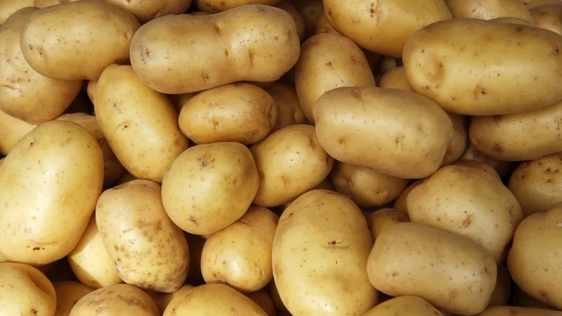 Cartofii din grădină care NU au calorii. Îi mănânci prăjiți, cu brânză și ouă fără să te îngrași - Foto: Freepik (imagine cu rol ilustrativ)