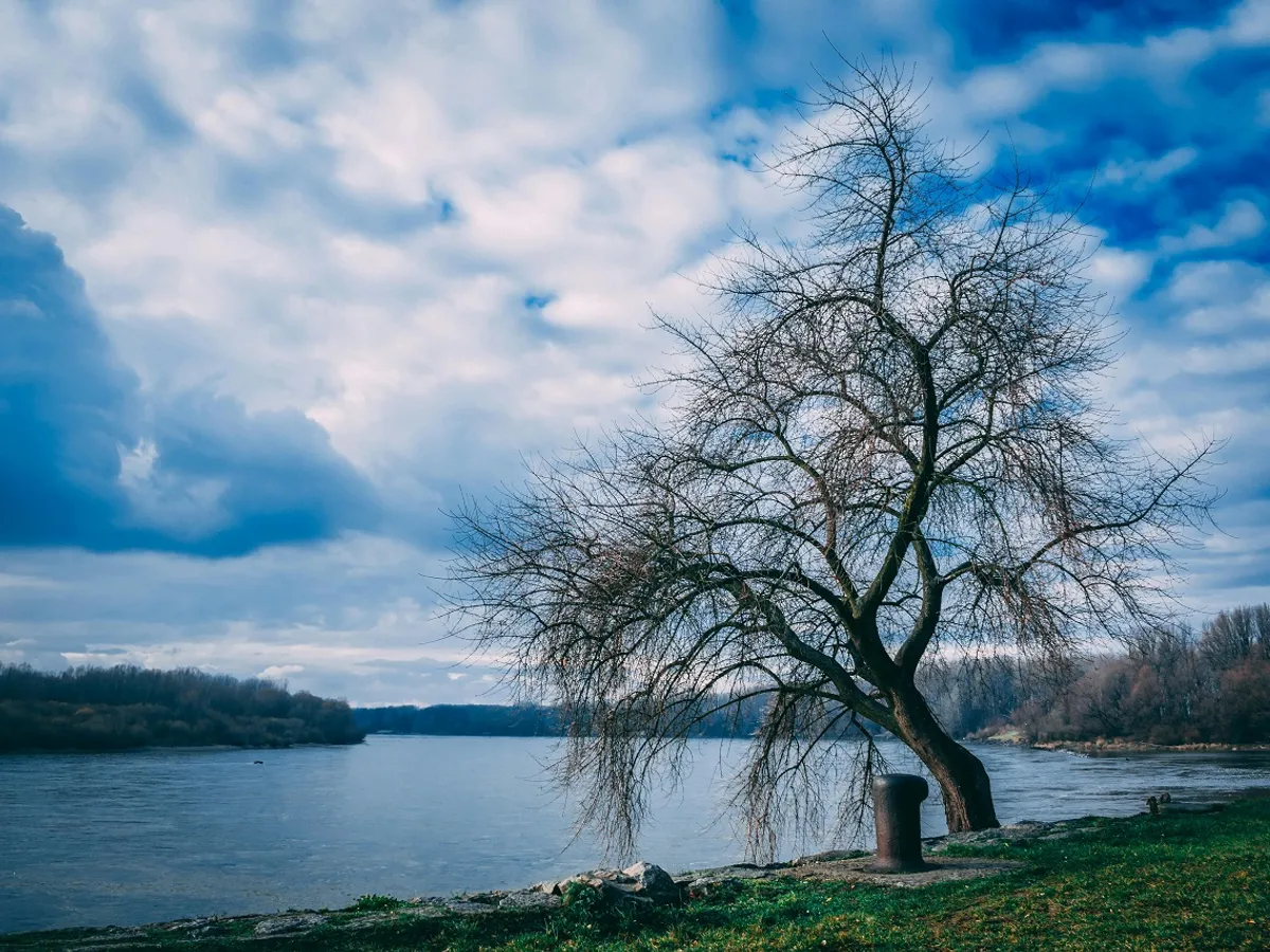 Fluviul Dunărea - Foto: Pexels (rol ilustrativ)