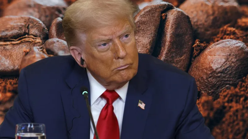 Efectul de bumerang al tarifelor de 50% impuse de Trump, Braziliei. Piața cafelei explozează în SUA - Foto: Profimedia images