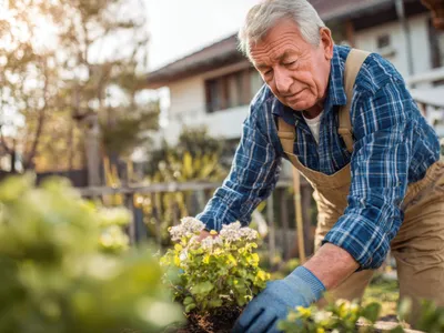 Pensionar îngrijește grădina la pensie - Foto: Freepik
