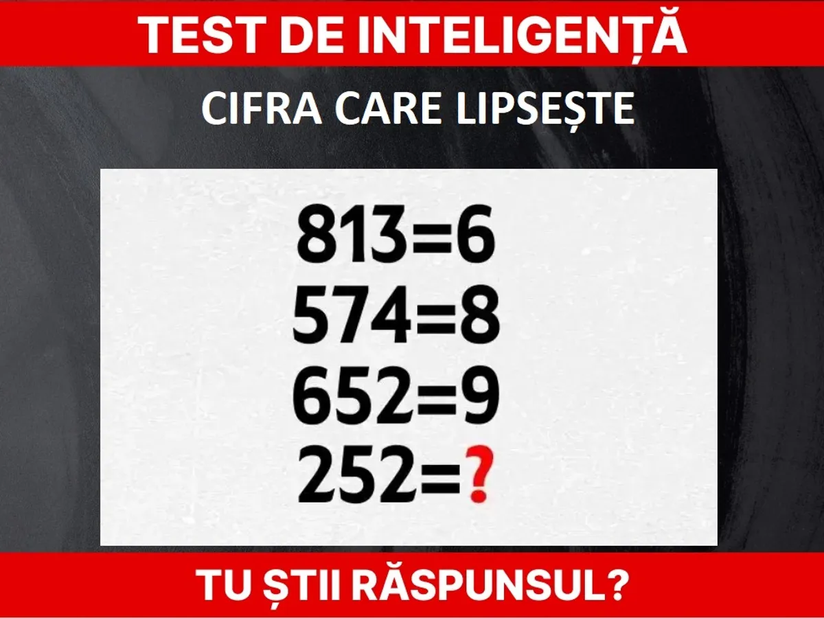 Test de inteligență Foto: Newsweek