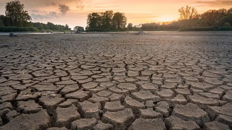 Avertisment crunt de la ANM: „Acest an agricol este unul dintre cei mai secetoși din istorie”/FOTO: Pixabay