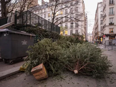 Cum scapi de bradul de Crăciun uscat? În București, poate fi și gratis, dacă respecți un termen - Foto: Profimedia Images - Imagine cu rol ilustrativ