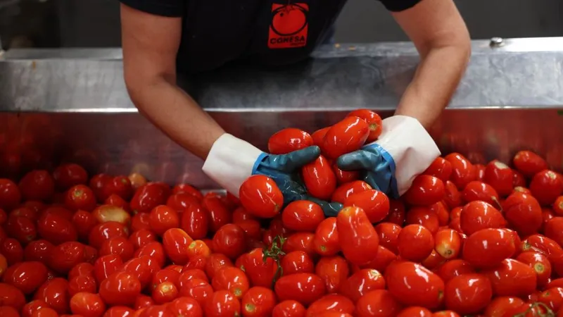 Cum poţi primi 1.000 €, când cultivi roşii, ardei graşi, ori castraveți. Există un secret - Foto: Profimedia Images