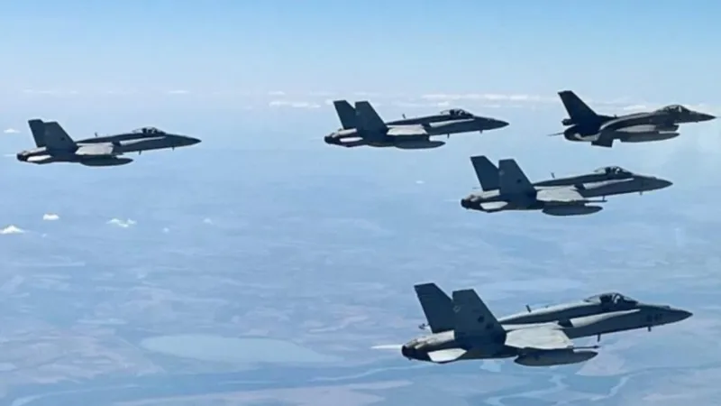 Grupul de Luptă al NATO din România, exerciții la Cincu. Pentru ce s-au antrenat militarii aliați - FOTO: NATO