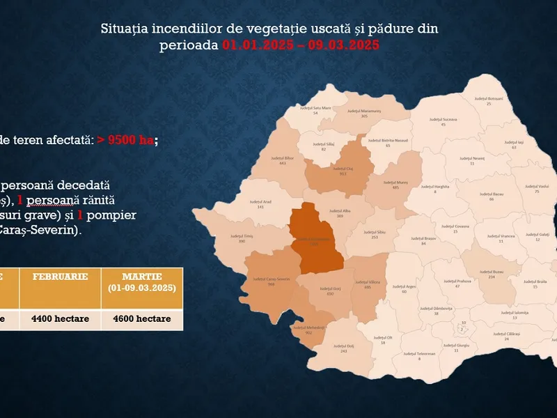 Incendii masive de vegetație în România. Arafat cere ajutorul preoților - Foto: IGSU