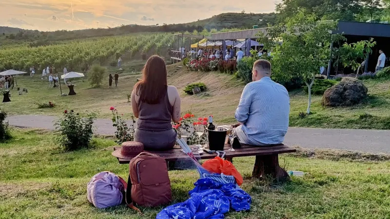 Petrecere la Velvet Winery, Dealu Mare ∙ Credit foto: Răzvan Avram