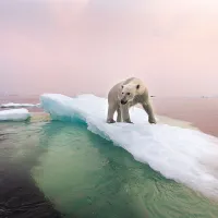 Foto: Getty Images