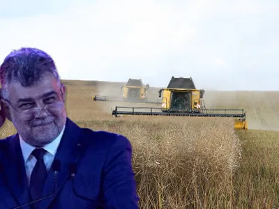 Plan PSD de 300 milioane € de revitalizare a sectorului agricol. Atragerea tinerilor în agricultură - FOTO: colaj Profimedia/Freepik(imagine cu rol ilustrativ)