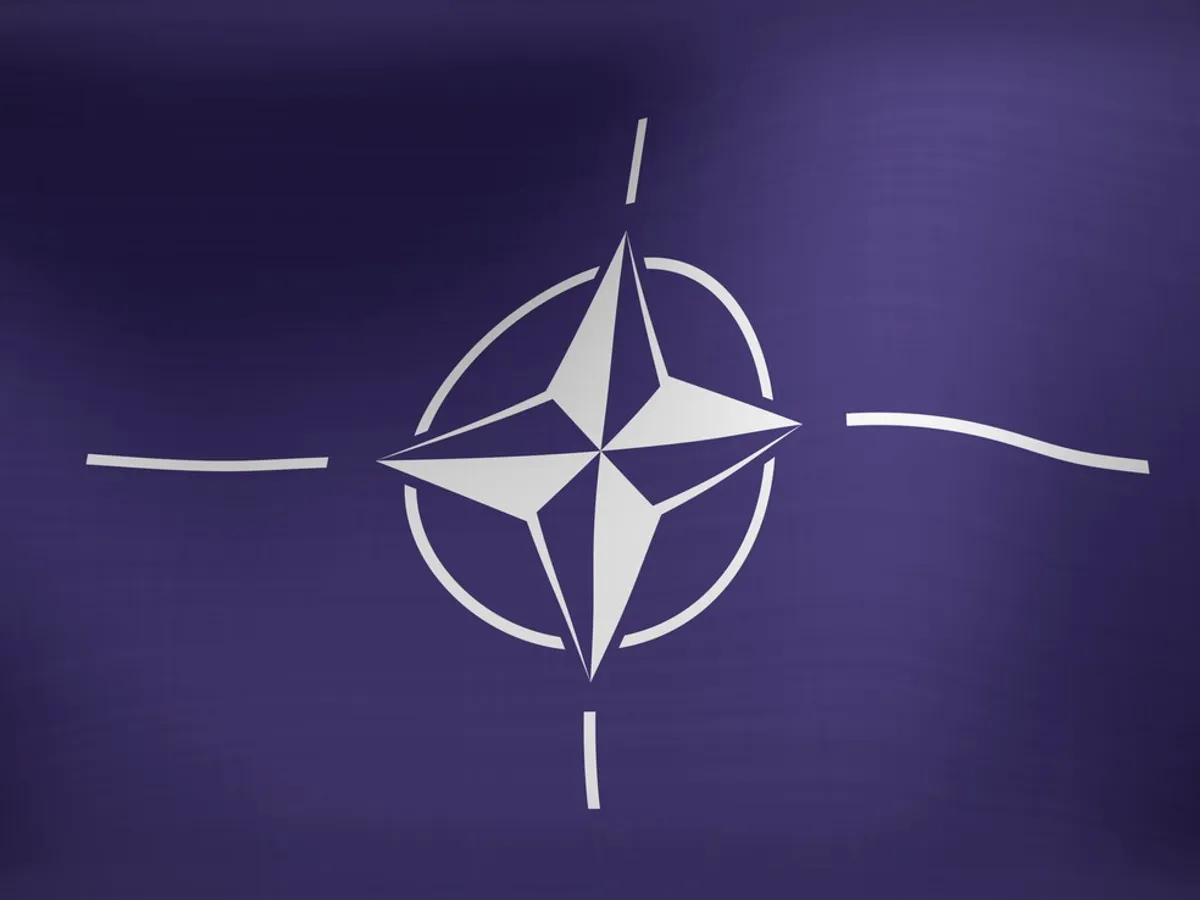 NATO - Foto: Profimedia Images (Imagine cu rol ilustrativ)
