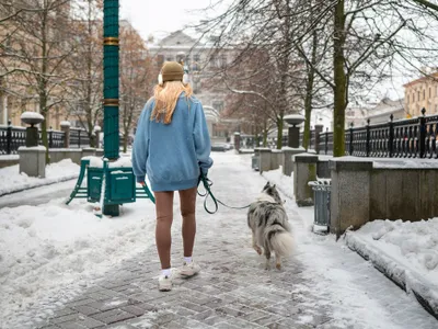 METEO Anunț de ultimă oră despre vreme. Alertă de ploi și ninsori în toată țara - Foto: Freepik.com (rol ilustrativ)