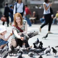 AMENDĂ de 500 de euro pentru românii care hrănesc porumbeii. De ce NU au voie? - Foto: Profimedia Images (imagine cu rol ilustrativ)