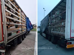 Un camion cu haine din Austria nu a fost lăsat în România. Posibilă răzbunare - Foto: politiadefrontiera