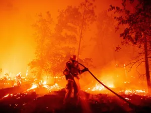 Incendii devastatoare de păduri/Foto: new york times