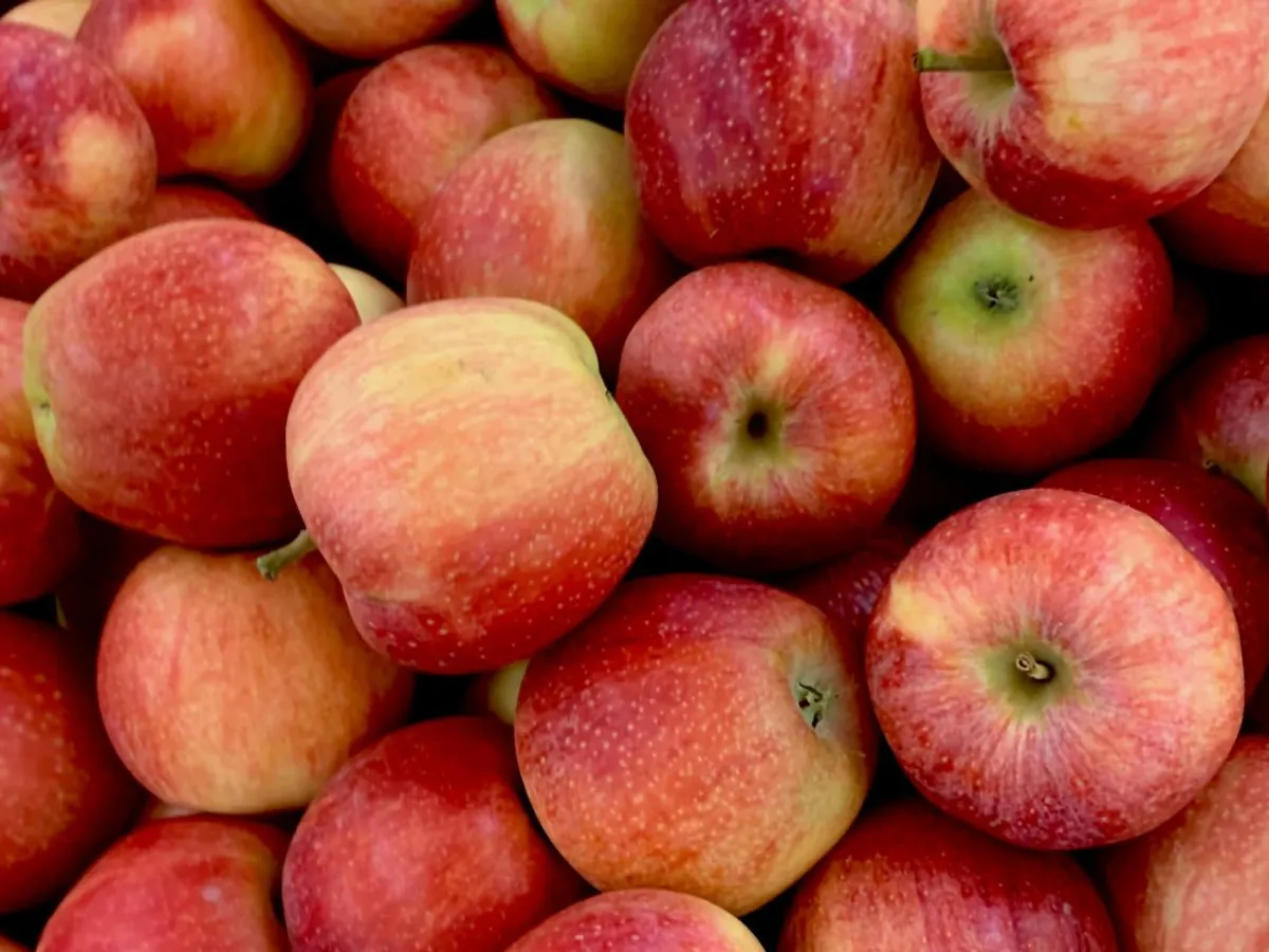 Raft cu mere în hipermarket - Foto: Pexels/Pierpaolo Riondato