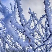 Iarna își intră în drepturi. Meteorologii au anunțat Cod galben de vijelii și ninsori în țară Foto: Pexels (fotografie cu caracter ilsutrativ)