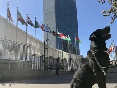 Sistemul informatic al ONU, spart de hackeri/FOTO: Facebook/United Nations