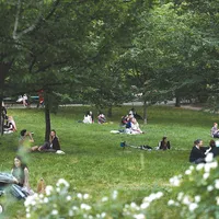 Viața pamenilor ve deveni mai ușoară dacă o parte din operațiunileinstituționale se pot desfășura online - Foto: INQUAM PHOTOS/ Albert Grosescu