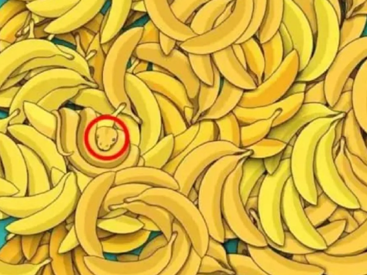 Animalul ascuns printre banane
