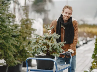 Cum să previi crăparea ghivecelor de exterior în această iarnă. Lemn, ceramică sau teracotă – care rezistă? - Foto: Freepik (Imagine cu rol ilustrativ)