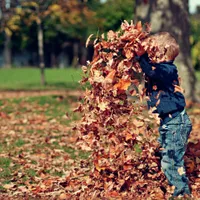 Vremea în Septembrie- Foto: PEXELS PHOTOS/Scott Webb