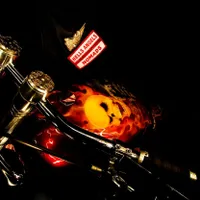 Român, membru al temutei bande de motocicliști Hells Angels, cercetat pentru trafic de droguri - FOTO: Profimedia