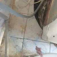 A închiriat o locuință în Constanța pentru a sta toată vara: „Am luat o bâtă să dau șobolanii” - Foto: replicaonline.ro