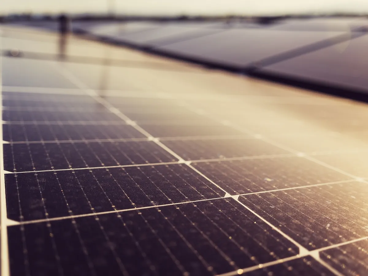 Psnouri solare - Foto: Pexels (rol ilustrativ)