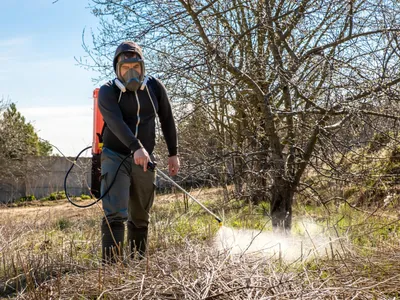 Ce temperatură trebuie să fie afară ca să poți stropi pomii în februarie? Atenție la ploaie și la vânt - Foto: Freepik (Imagine cu rol ilustrativ)